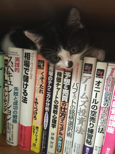投資と猫