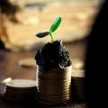 配当金や株主優待がでる銘柄は実は損かもしれないってご存知でしたか?
