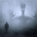 地雷が99%?半数が損をしている投資信託は悪徳な金融商品なのか?良い投資信託を見分けるポイント
