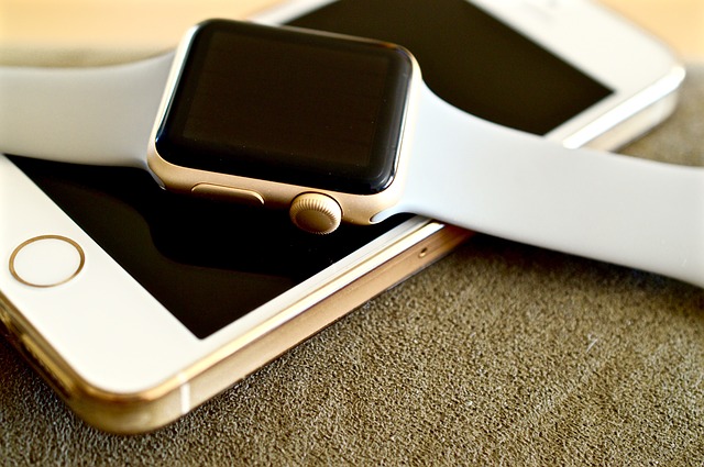 apple-watchふるさと納税