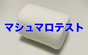 マシュマロ・テストとは